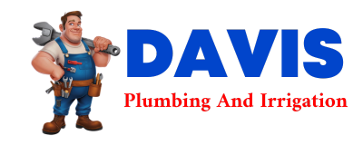 Trusted plumber in HICO